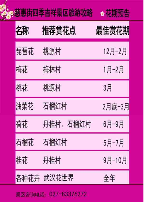 香港公开免费资料大全